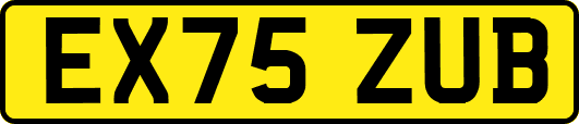 EX75ZUB