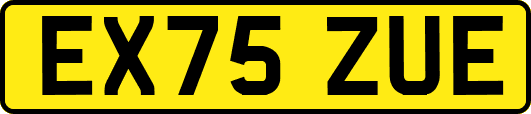 EX75ZUE