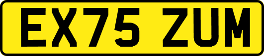 EX75ZUM