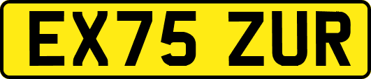 EX75ZUR