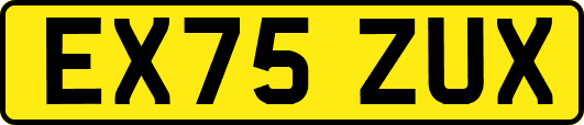 EX75ZUX