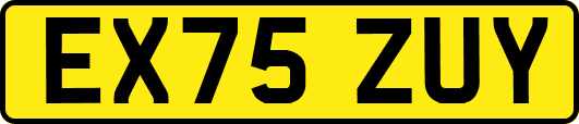 EX75ZUY
