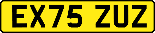 EX75ZUZ