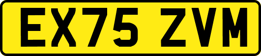 EX75ZVM