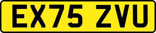 EX75ZVU
