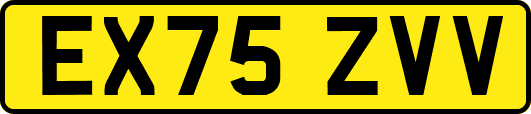 EX75ZVV