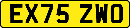 EX75ZWO