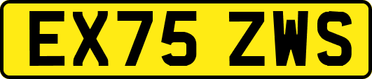 EX75ZWS