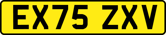 EX75ZXV