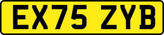EX75ZYB