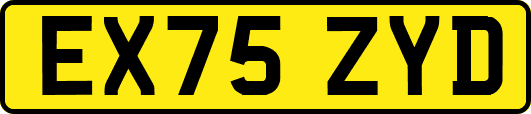 EX75ZYD