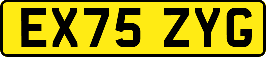 EX75ZYG