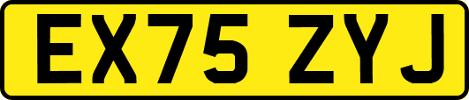 EX75ZYJ