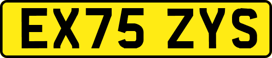 EX75ZYS