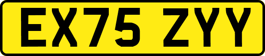 EX75ZYY