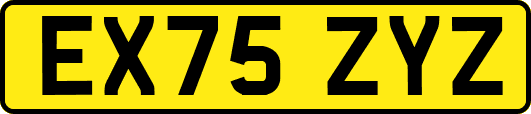 EX75ZYZ