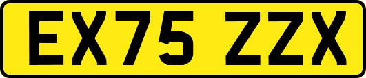 EX75ZZX