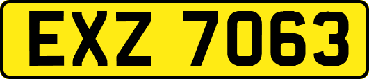 EXZ7063