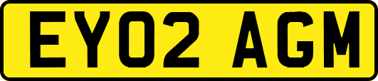 EY02AGM