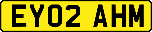 EY02AHM