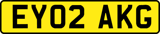 EY02AKG