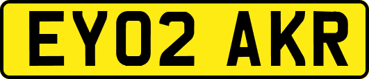 EY02AKR