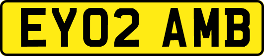 EY02AMB