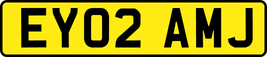 EY02AMJ