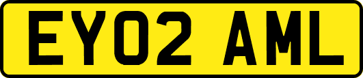 EY02AML