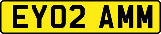 EY02AMM