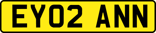 EY02ANN