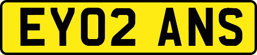EY02ANS