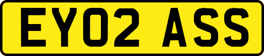 EY02ASS