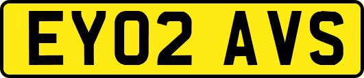 EY02AVS