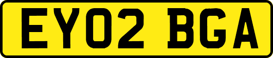 EY02BGA