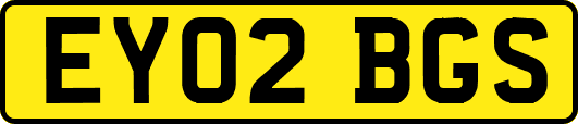 EY02BGS