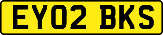 EY02BKS