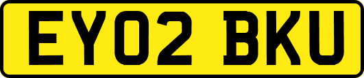 EY02BKU