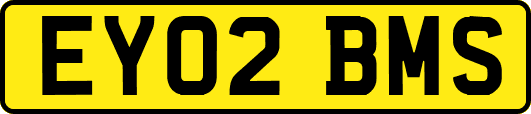 EY02BMS