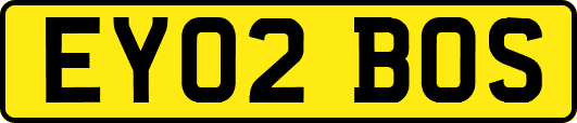 EY02BOS