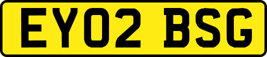 EY02BSG