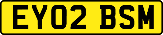 EY02BSM