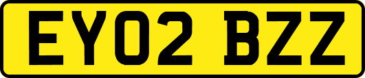 EY02BZZ
