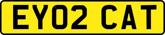 EY02CAT