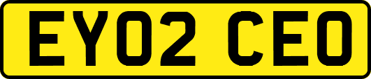 EY02CEO