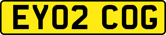 EY02COG