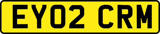 EY02CRM