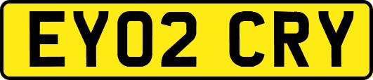 EY02CRY