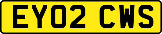 EY02CWS