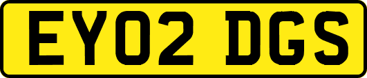 EY02DGS